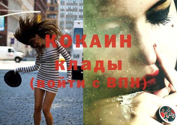 крисы Верея