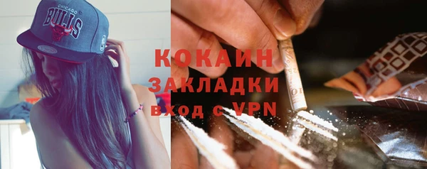 крисы Верея