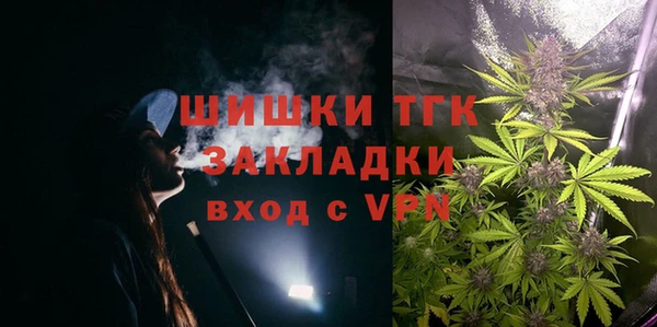 шишки Чегем