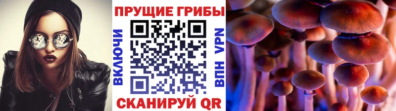 Галлюциногенные грибы прущие грибы  Электроугли 