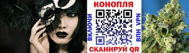 Бошки Шишки сатива  где найти наркотики  Электроугли 
